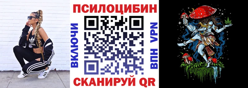 как найти закладки  Гусев  Псилоцибиновые грибы MAGIC MUSHROOMS 